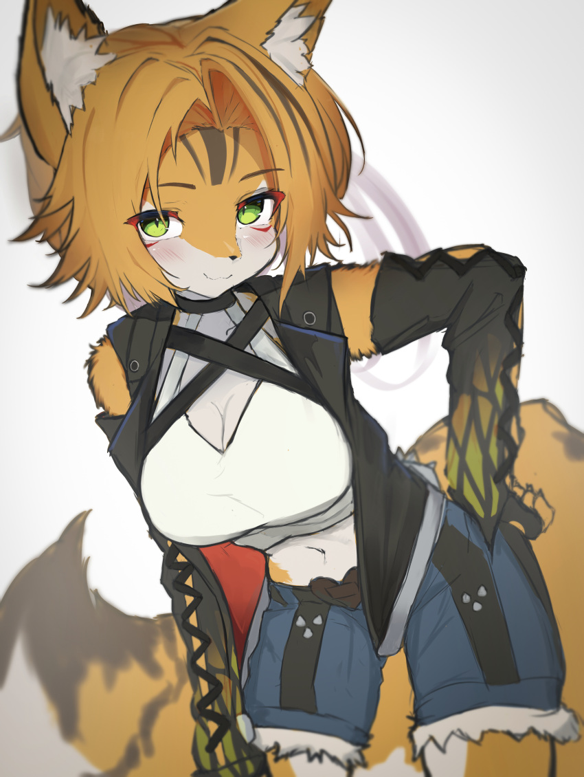 :3 absurdres animal_ears black_hair black_sleeves black_vest blonde_hair blue_shorts blush breasts cat_ears cat_girl cat_tail closed_mouth cowboy_shot detached_sleeves female fur-trimmed_shorts fur_trim furry furry_female green_eyes highres large_breasts leaning_forward lilkon looking_at_viewer midriff multicolored_hair navel open_clothes open_vest pulchra short_hair shorts simple_background smile solo streaked_hair tail tank_top vest white_background white_tank_top zenless_zone_zero