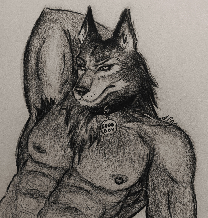 anthro armpit_fetish armpit_hair armpit_play body_hair canid canine canis collar good_boy gulonine hi_res male male/male mammal muscular muscular_anthro mustelid musteline nipple_piercing nipples piercing wolf wolverine