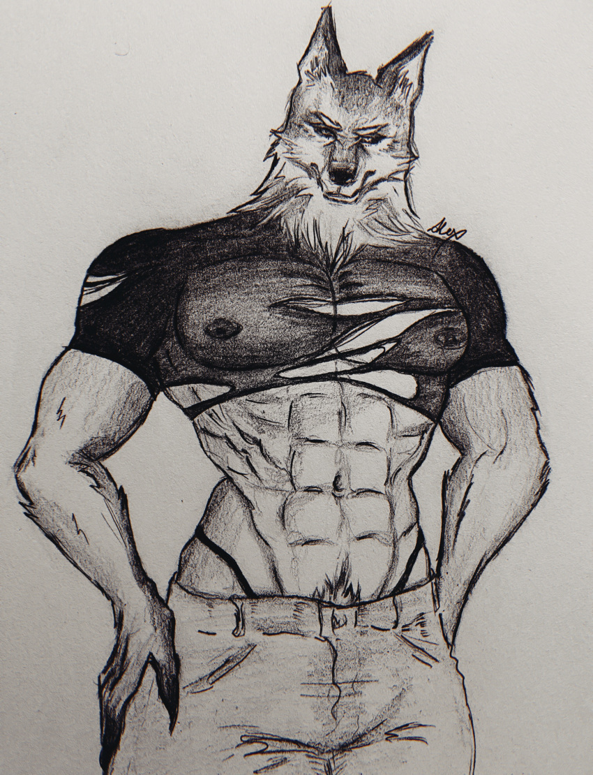 anthro body body_hair canid canine canis chest_hair clothed clothing gulonine hi_res male male/male mammal muscular muscular_anthro mustelid musteline open_clothing open_shirt open_topwear raised_clothing raised_shirt raised_topwear shirt solo topwear wolf wolverine