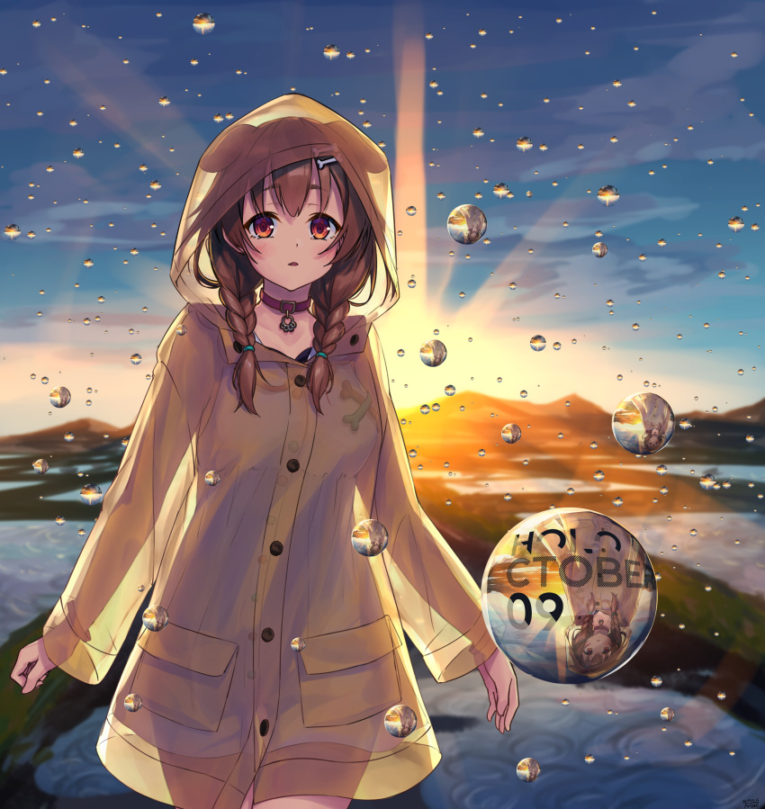 absurdres animal_ears blush bone_hair_ornament bone_print braid breasts brown_eyes brown_hair choker dog_ears dog_girl dog_tail dress female hair_ornament highres hololive inugami_korone large_breasts long_hair long_sleeves looking_at_viewer parted_lips paw_pendant rain raincoat red_choker see-through_clothes see-through_raincoat solo sunlight tail traveler_(artbbt) twin_braids virtual_youtuber water_drop white_dress yellow_raincoat