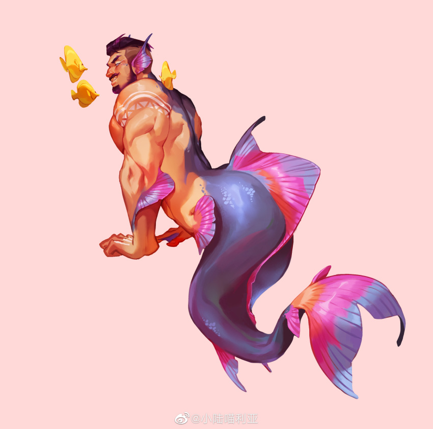 1boy absurdres ass bara beard black_hair blush bodypaint completely_nude facial_hair fins fish from_side full_body head_fins highres large_pectorals looking_at_viewer male_focus mature_male merman monster_boy moustache multicolored_hair muscular muscular_male nude original pectorals pink_background purple_hair seductive_smile short_hair smile solo streaked_hair undercut xiaolumiaoliya