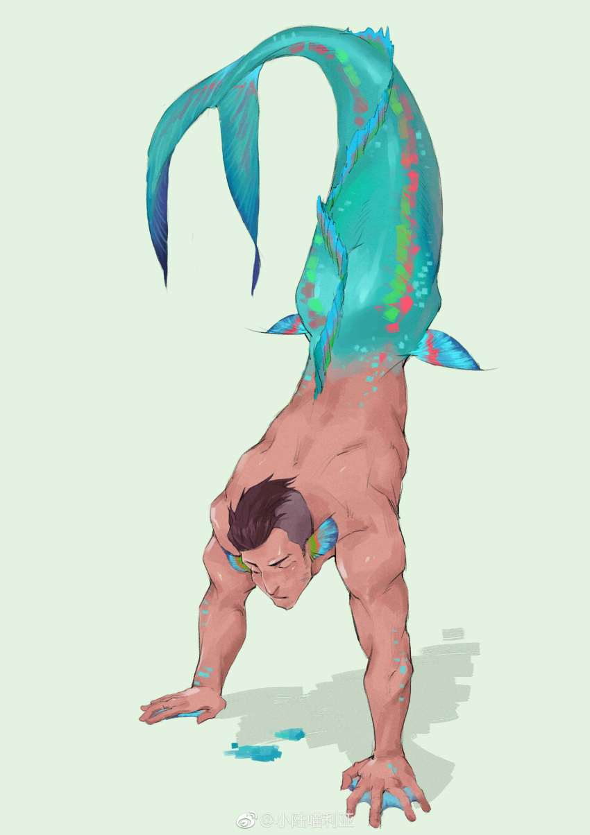 1boy absurdres back bara brown_hair colored_skin completely_nude fins full_body green_background handstand head_fins highres kneeless_mermaid long_sideburns male_focus merman monster_boy multicolored_skin muscular muscular_male nude original scales scorpion_pose shadow short_hair sideburns simple_background solo undercut upside-down webbed_hands wet white_background xiaolumiaoliya