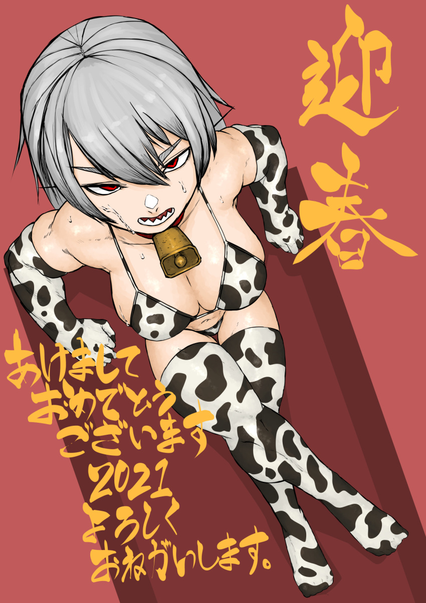 2021 animal_print bell bikini breasts chinese_zodiac collar commentary_request cow_print cow_print_bikini cow_print_gloves cow_print_thighhighs cowbell elbow_gloves female from_above full_body gloves grey_hair highres hole keisho_(keishoryaku1) large_breasts open_mouth original print_bikini print_gloves print_thighhighs red_collar red_eyes scowl sitting solo sweat swimsuit thighhighs translation_request v-shaped_eyebrows year_of_the_ox