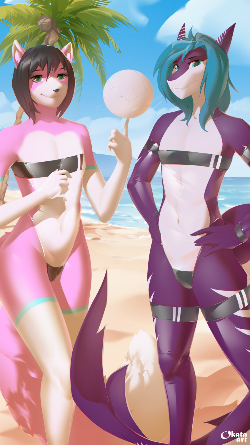 absurd_res anthro ball beach canid canine clothing duo fish fox gris_swimsuit hi_res kal_(world3nder) legwear looking_at_viewer male mammal marine meme meme_clothing navel norii okata one-piece_swimsuit palm_tree plant sea seaside shark stockings swimwear translucent translucent_clothing translucent_swimwear tree volleyball_(ball) water