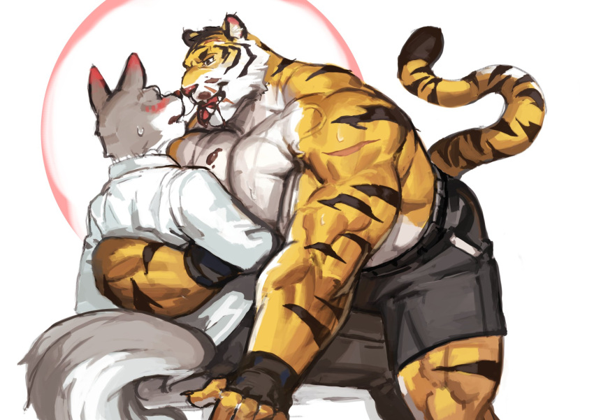 anthro blush bodily_fluids candy canid canine canis chocolate dessert duo felid food hi_res kissing male male/male mammal muscular muscular_anthro muscular_male pantherine pecs scar striped_body stripes sweat tiger traver009 vein wolf