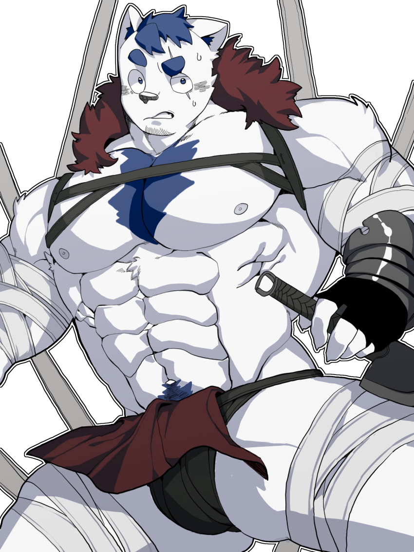 1boy abs bandages bara bare_pectorals black_loincloth blue_doggo_(ttn) bound bound_legs chest_harness clothes_lift dagger feet_out_of_frame furry furry_male harness highres holding holding_dagger holding_knife holding_weapon knife looking_at_viewer male_focus muscular muscular_male navel navel_hair nervous_sweating nipples original pectorals pelvic_curtain pelvic_curtain_lift raised_eyebrow short_hair solo stomach stuck sweat thick_thighs thighs ttn_(239_239) uneven_eyes weapon