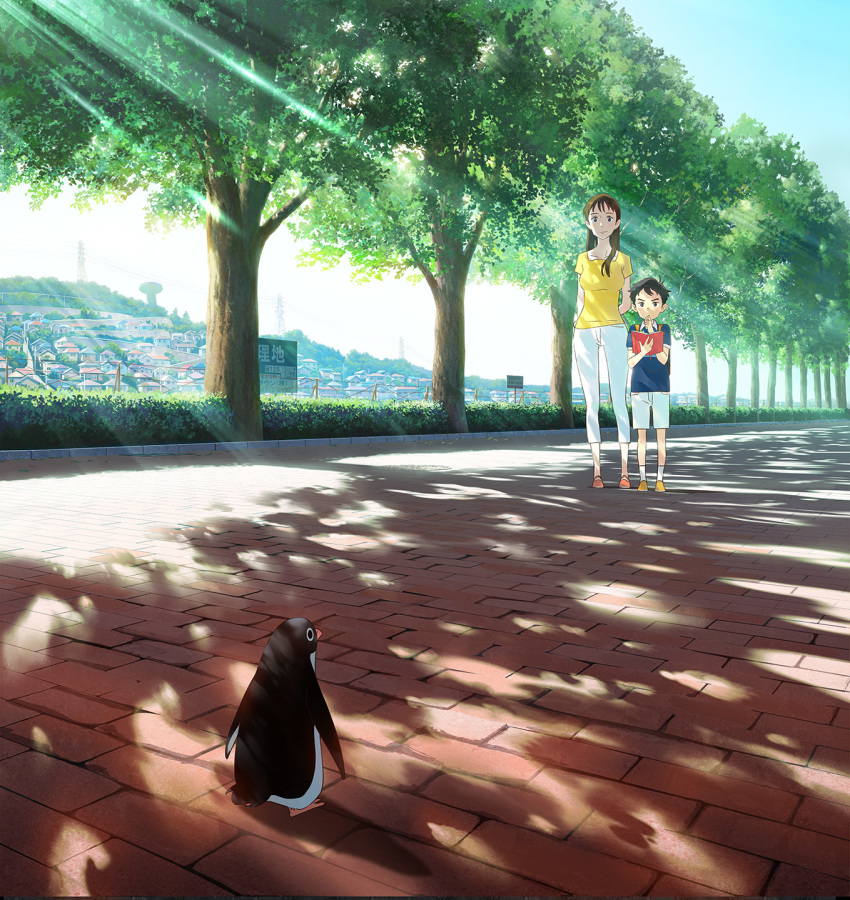 1boy aoyama-kun_(penguin_highway) arm_behind_back bird black_hair blue_shirt blue_sky book brick_road brown_eyes brown_footwear bush commentary_request dappled_sunlight day female highres holding holding_book ishida_hiroyasu lolicon long_hair looking_at_viewer onee-san_(penguin_highway) outdoors pants penguin penguin_highway photoshop_(medium) pink_footwear power_lines shirt sky socks standing sunlight tree water_tower white_legwear white_pants yellow_shirt