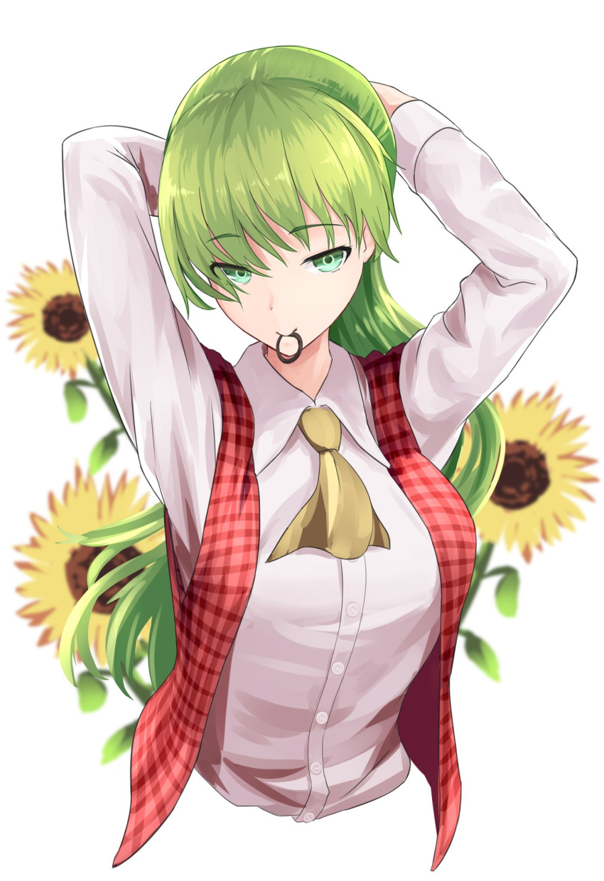 adjusting_hair arms_behind_head arms_up ascot bad_id bad_twitter_id collared_shirt commentary_request female flower green_hair hair_tie hair_tie_in_mouth hands_in_hair highres holding holding_own_hair kamiya_ueshi kazami_yuuka long_hair long_sleeves mouth_hold plaid plaid_vest shirt solo sunflower touhou touhou_(pc-98) tying_hair upper_body very_long_hair vest white_shirt yellow_ascot