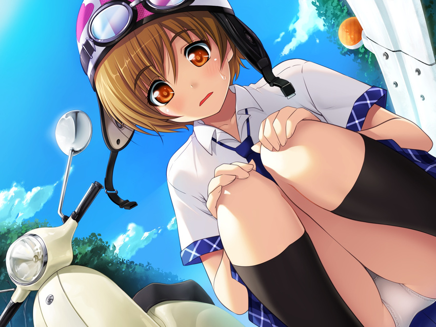 black_legwear brown_hair day female game_cg goggles hanano_risako hands_on_own_knees helmet highres knees_together_feet_apart looking_at_viewer motor_vehicle necktie nonohara_miki open_mouth orange_eyes outdoors panties scooter short_hair short_sleeves socks squatting sweatdrop tonari_no_puu-san underwear white_panties