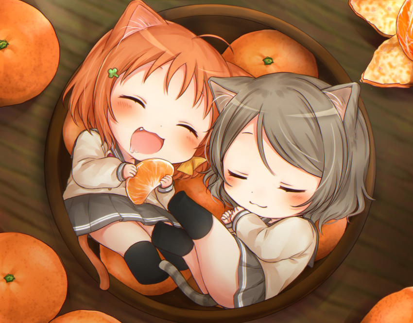 2girls ^3^ ahoge animal_ears bad_id bad_pixiv_id black_socks blush cat_ears cat_tail chibi closed_eyes clover_hair_ornament commentary drooling eating food from_above fruit grey_hair grey_skirt hair_ornament highres in_bowl in_container in_food kemonomimi_mode love_live! love_live!_sunshine!! mini_person minigirl mkzk_nagi multiple_girls neko_nabe oerba_yun_fang open_mouth orange_(fruit) orange_hair orange_slice pleated_skirt pot school_uniform short_hair skirt sleeping socks tail takami_chika uranohoshi_school_uniform watanabe_you