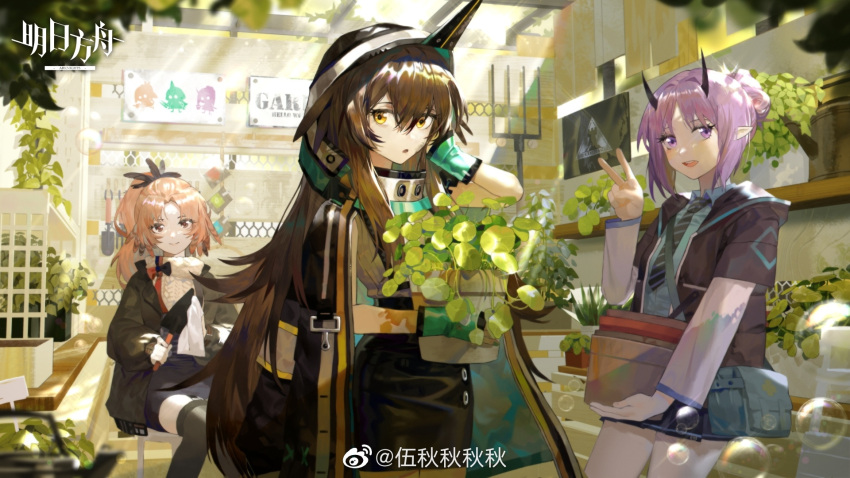 3girls arknights black_jacket breasts brown_eyes brown_hair five-fall green_theme guest_art hibiscus_(arknights) highres jacket kafka_(arknights) long_hair looking_at_viewer multiple_girls pinecone_(arknights) purple_eyes purple_hair sitting small_breasts standing very_long_hair weibo_logo weibo_watermark yellow_eyes