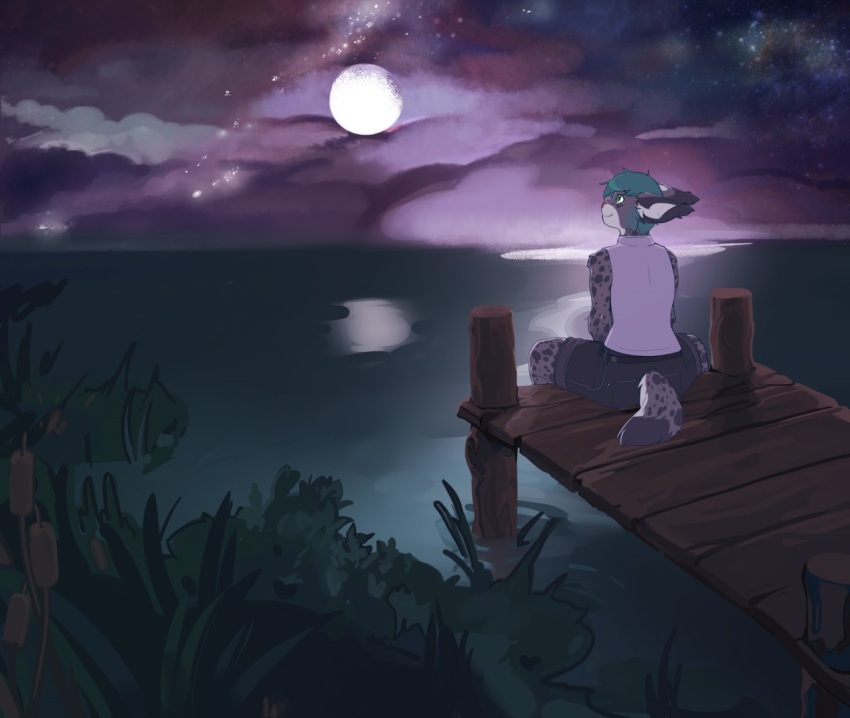 anthro arh bottomwear clothed clothing cloud denim denim_clothing detailed_background digital_media_(artwork) felid feline fluffy fully_clothed fur lake landscape lynx male mammal moon night outside reflection relaxing shirt shorts solo star tank_top topwear vincent_lynx water