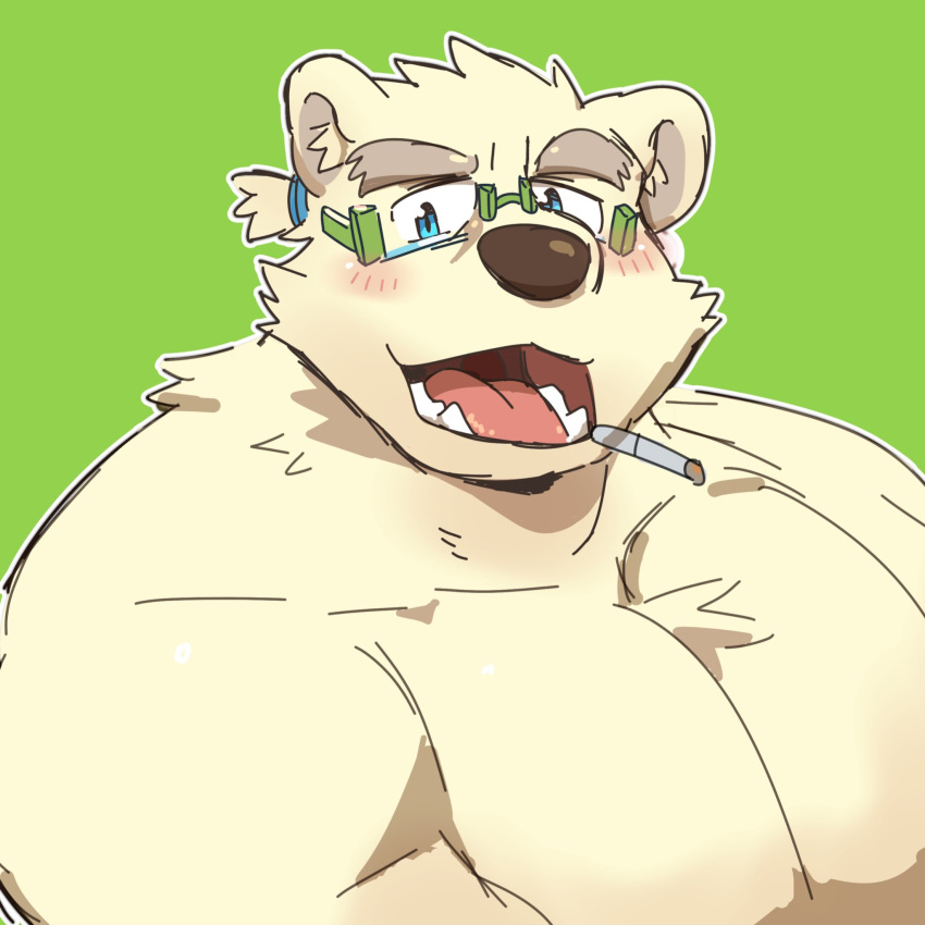 1:1 2019 anthro bear belly blue_eyes blush eyewear fur glasses green_background hi_res hollowpup leib_(tas) lifewonders male mammal moobs overweight overweight_anthro overweight_male polar_bear simple_background smoking solo teeth tokyo_afterschool_summoners tongue ursine white_body white_fur