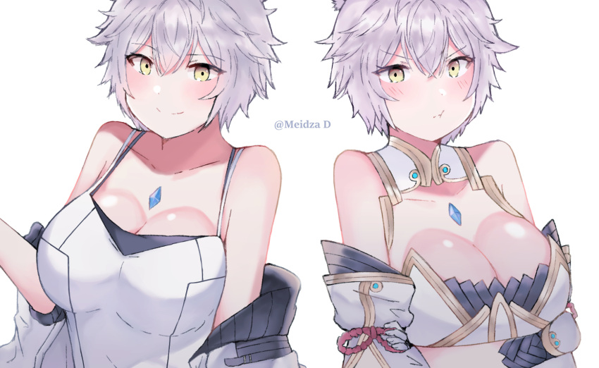 animal_ear_fluff animal_ears breasts cat_ears chest_jewel cleavage cosplay crossed_arms dual_persona grey_hair highres jacket large_breasts meidza_d mio_(xenoblade) mio_(xenoblade)_(cosplay) na'el_(xenoblade) nia_(blade)_(xenoblade) nia_(blade)_(xenoblade)_(cosplay) nia_(xenoblade) off_shoulder pout short_hair smile xenoblade_chronicles_(series) xenoblade_chronicles_2 xenoblade_chronicles_3 xenoblade_chronicles_3:_future_redeemed yellow_eyes