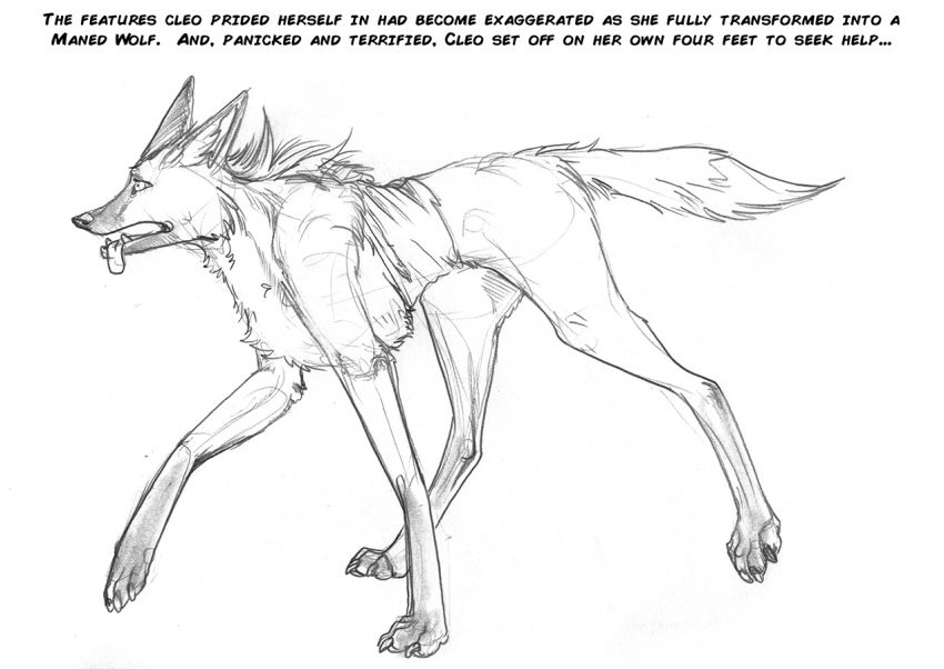 ambiguous_gender arania breath canid canine clothing digitigrade english_text fangs feral fur graphite_(artwork) greyscale hindpaw jewelry leg_markings mammal mane maned_wolf markings monochrome necklace open_mouth panting paws pencil_(artwork) socks_(marking) solo teeth text tongue tongue_out torn_clothing traditional_media_(artwork)