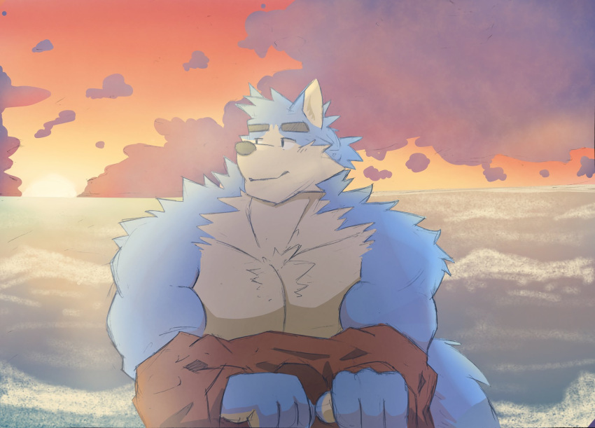 anthro body_hair canid canine canis cheese12367 chest_hair clothing dark_clouds hi_res looking_back male mammal muscular sea solo sunset undressing_self unknown_character water wolf