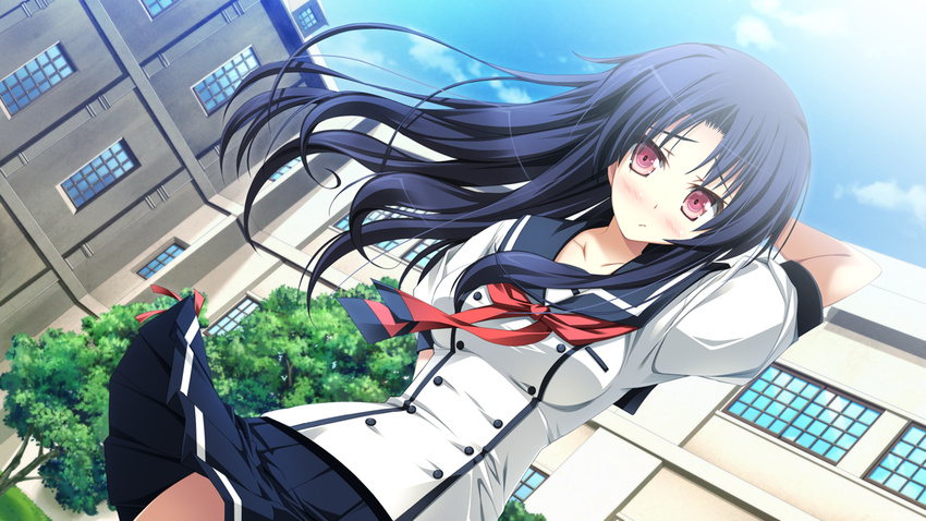 black_hair game_cg long_hair makino_honoha purple_software seifuku shiawase_kazokubu yuuki_makoto