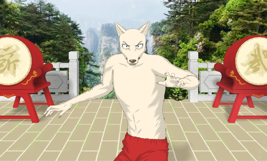 angry beastars broken canid canine canis claws clothing drum fence fighting_pose fur hi_res humanoid legoshi_(beastars) looking_at_viewer male mammal martial_arts muscular musical_instrument percussion_instrument photo_background photography_(artwork) pose red_clothing scar scared shadow short_fur solo sunny teeth white_body white_fur wolf xdzy111