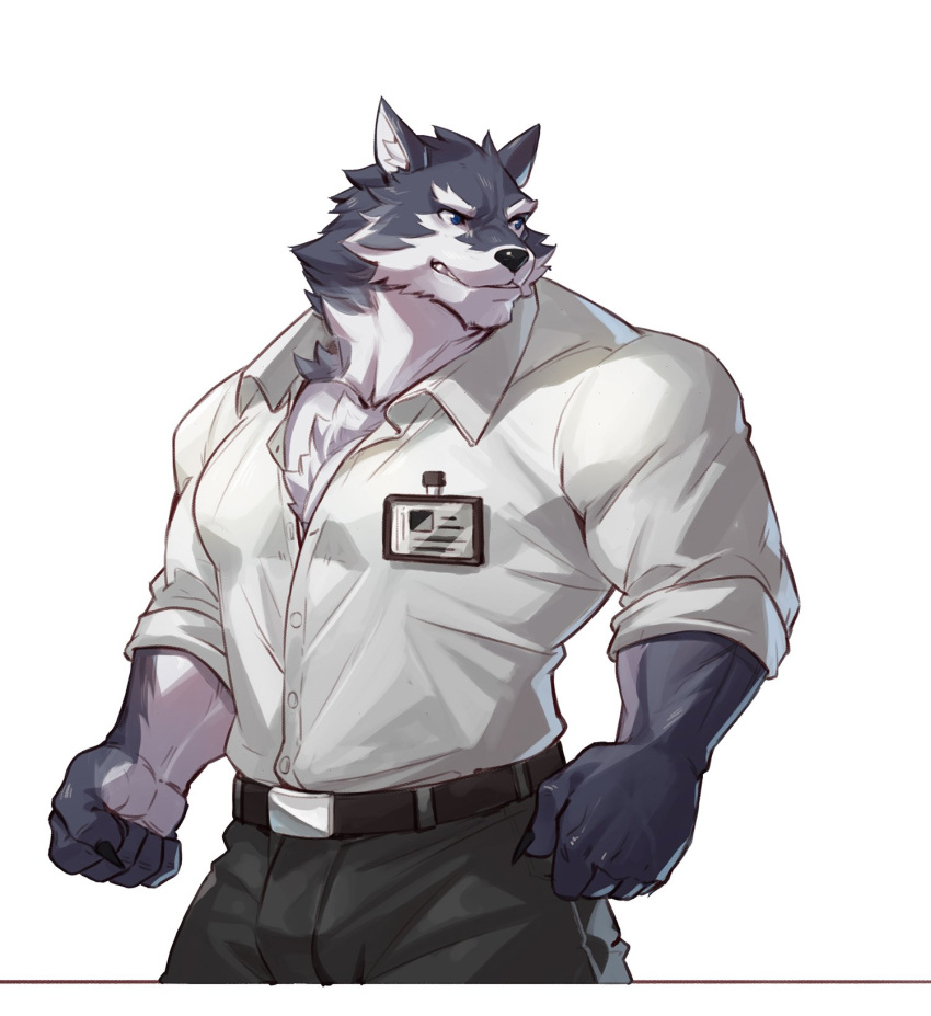 1boy bara belt black_belt black_pants blue_eyes chest_hair furry furry_male highres large_pectorals male_focus mature_male muscular muscular_male original pants pectoral_cleavage pectorals selkiro shirt sleeves_rolled_up solo white_shirt wolf_boy