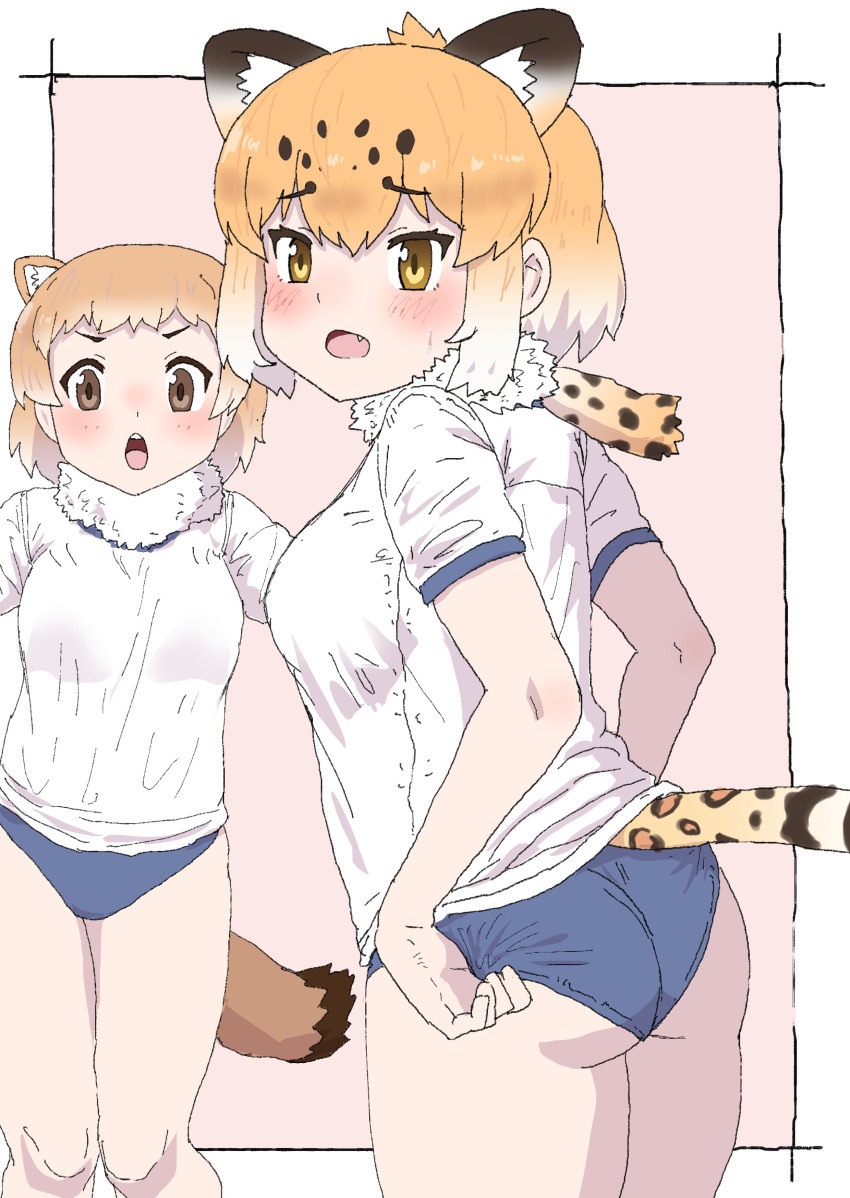 2girls absurdres adjusting_buruma adjusting_clothes animal_ears animal_print ass bare_arms black-tailed_prairie_dog_(kemono_friends) blue_buruma blush border brown_eyes brown_hair buruma extra_ears fur_collar fur_scarf furrowed_brow gym_shirt gym_uniform highres jaguar_(kemono_friends) jaguar_ears jaguar_girl jaguar_print jaguar_tail kemono_friends kumasyan1998 looking_at_viewer medium_hair multicolored_hair multiple_girls oerba_yun_fang open_mouth orange_hair outside_border print_scarf scarf shirt short_sleeves standing tail two-tone_hair v-shaped_eyebrows white_border white_hair white_shirt yellow_eyes