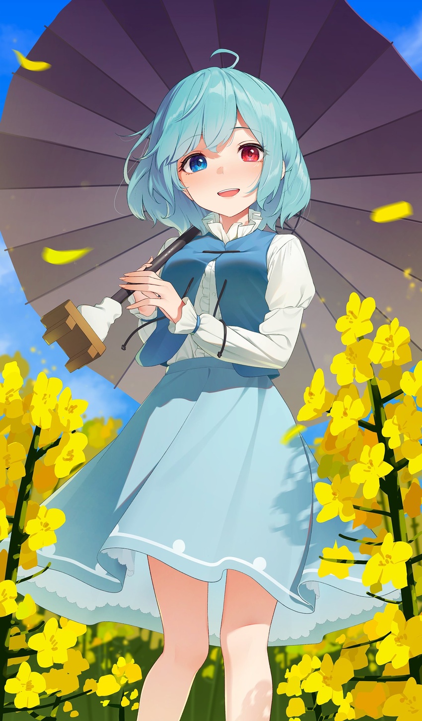 ahoge blue_eyes blue_hair blue_skirt blue_sky blue_vest blush branch breasts buttons cloud cloudy_sky commentary eyes_visible_through_hair female fingernails flower frills hair_between_eyes hands_up heterochromia highres holding holding_umbrella juliet_sleeves kanpa_(campagne_9) long_fingernails long_sleeves looking_at_viewer medium_breasts nail_polish open_mouth outdoors petals pink_nails puffy_long_sleeves puffy_sleeves rapeseed_blossoms red_eyes shirt short_hair skirt sky smile solo standing sunken_fossil_world tatara_kogasa teeth tongue touhou umbrella vest white_shirt yellow_flower