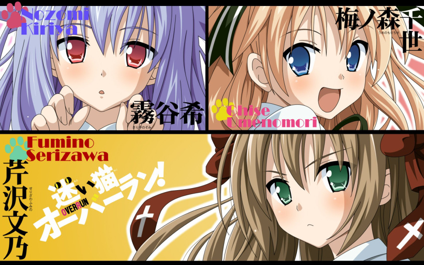 kiriya_nozomi mayoi_neko_overrun! serizawa_fumino tagme umenomori_chise