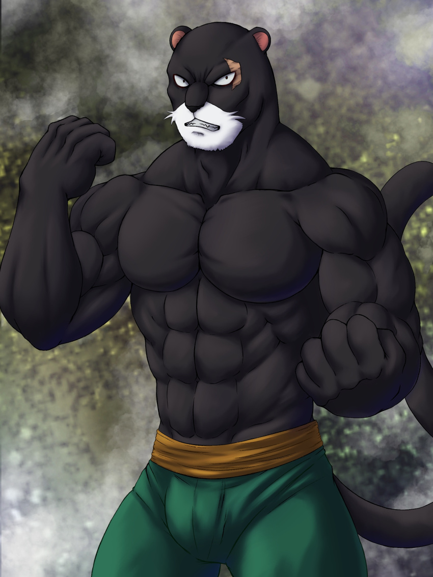 2021 3:4 abs absurd_res anthro athletic beard biceps big_muscles biped black_body black_fur black_nose black_tail bottomwear bulge chibikoma clenched_teeth clothing digital_drawing_(artwork) digital_media_(artwork) domestic_cat facial_hair fairy_tail feet felid feline felis flexing fur green_bottomwear green_clothing green_pants hi_res male mammal melanistic muscular muscular_anthro muscular_male pantherine pantherlily pants pecs pose shirt shirtless_male solo standing tail teeth topwear