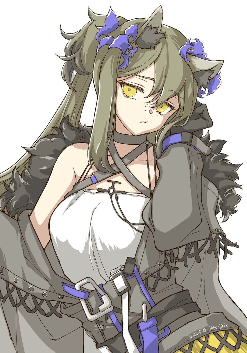 animal_ear_fluff animal_ears arknights bare_shoulders black_gloves bonjirix commentary_request criss-cross_halter dress female freckles gloves grey_choker grey_hair grey_jacket hair_between_eyes halterneck highres jacket long_hair long_sleeves official_alternate_costume ponytail raccoon_ears robin_(arknights) robin_(gift_of_wild)_(arknights) sidelocks simple_background solo white_background white_dress yellow_eyes