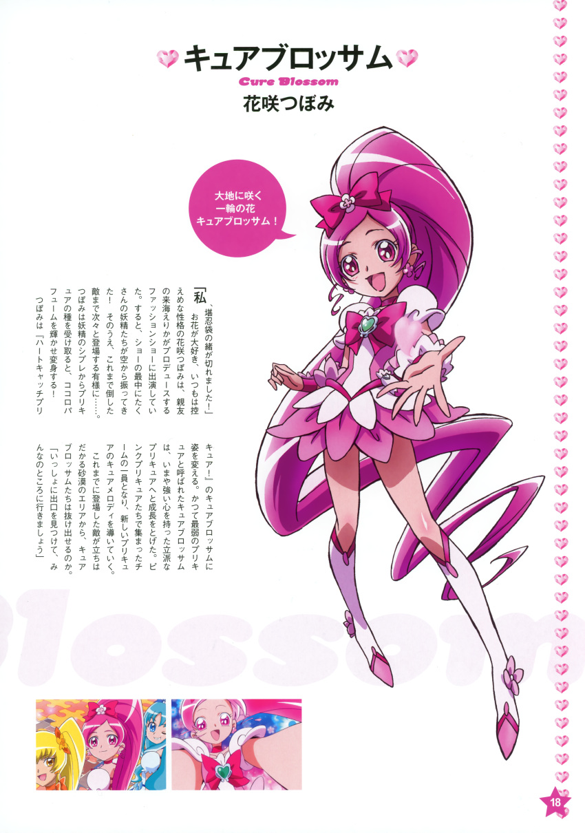 aoyama_mitsuru hanasaki_tsubomi heartcatch_pretty_cure! pretty_cure tagme