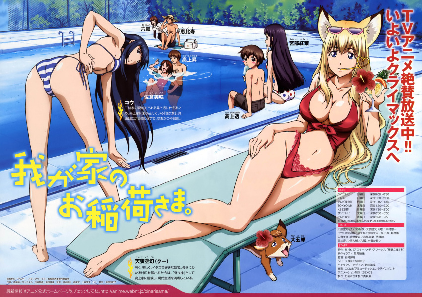 3boys 5girls :o absurdres age_difference animal_ears arm_support ass back barefoot bent_over bikini blonde_hair blue_bikini blue_hair blush breasts brothers brown_hair casual_one-piece_swimsuit chain-link_fence chair character_name cleavage cocktail collarbone copyright_name crazy_straw cross cup curvy daigourou day drain_(object) drink drinking drinking_glass drinking_straw eating ebisu_(wagaya) everyone eyewear_on_head fat_mons feet fence finger_to_mouth first_aid_kit flower food fox fox_ears front-tie_bikini_top front-tie_top groin hair_flower hair_ornament hand_on_own_hip hand_on_own_thigh hands_up hat heart hibiscus highleg highleg_bikini highleg_swimsuit highres hip_focus holding kneepits knees_up kou_(wagaya) lace lace-trimmed_bikini lace_trim ladder large_breasts legs legs_apart long_hair looking_at_viewer looking_back lounge_chair lying male_swimwear miyabe_momiji mubyou multiple_boys multiple_girls narrow_waist navel nitta_yasunari official_art on_side one-piece_swimsuit outdoors parted_lips partially_submerged pink_one-piece_swimsuit polka_dot polka_dot_bikini polka_dot_swimsuit pool pool_ladder poolside popsicle purple_hair red_bikini red_cross sakura_misaki satou_taka scan scared shiny_skin short_hair siblings side-tie_bikini_bottom sidelocks sitting small_breasts soaking_feet splashing straw_hat stretching striped_bikini striped_clothes sunglasses swim_trunks swimming swimsuit takagami_noboru takagami_tooru tan tenko_kuugen text_focus topless_male transparent tropical_drink underboob very_long_hair wagaya_no_oinari-sama water white_bikini