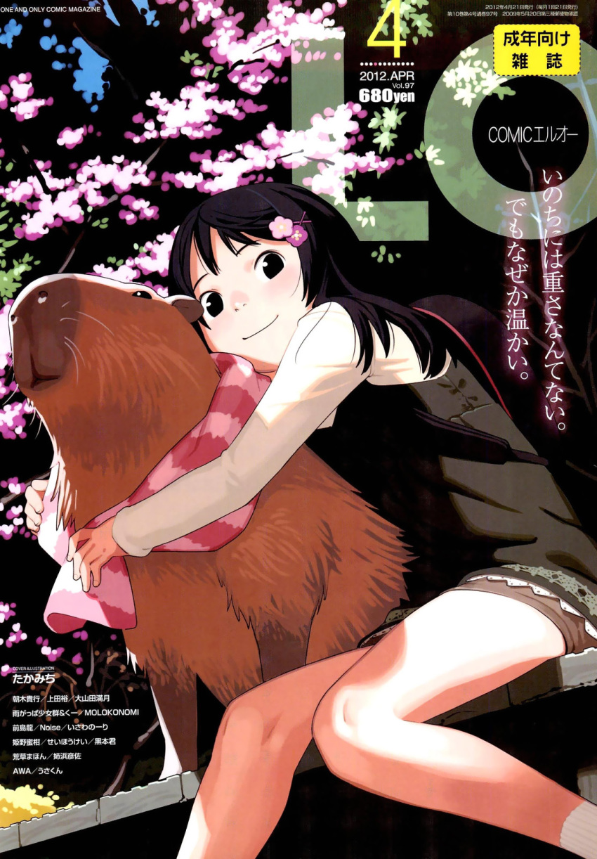 animal black_hair capybara cherry_blossoms comic_lo cover cover_page female highres hug legs long_hair magazine_cover original outdoors photoshop_(medium) sitting smile takamichi translation_request wombat