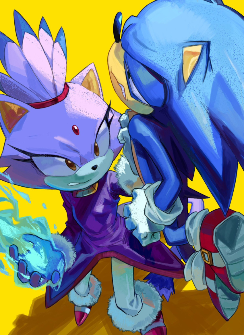 5_fingers angry anthro blaze_the_cat carrying_another clothing defeated duo eulipotyphlan felid feline female fingers fire footwear gloves handwear hedgehog hi_res male mammal n_jiujiu99 narrowed_eyes sega simple_background sonic_the_hedgehog sonic_the_hedgehog_(series)