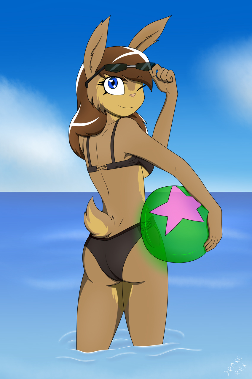 2:3 absurd_res anthro ass ball beach_ball beliza_(gabbslines) bikini clothing detailed_background drake-rex european_hare eyewear female gabbslines hair hair_bun hare hi_res inflatable lagomorph legs_in_water leporid looking_at_viewer looking_back mammal outside partially_submerged pool_toy sea seascape seaside simple_background sky solo submerged_legs sunglasses swimwear water