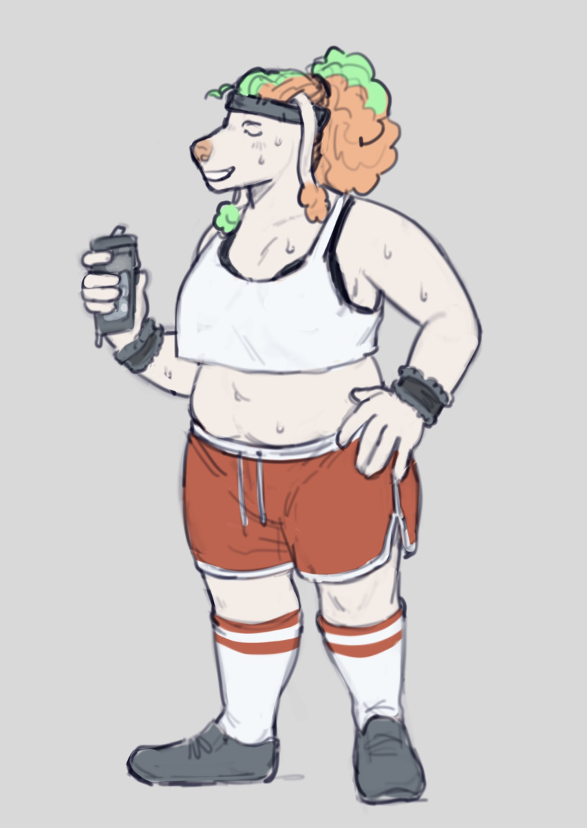 anthro armband belly bodily_fluids bottomwear bra breasts canid canine canis clothed clothing cryptidcoyote dolphin_shorts domestic_dog dye ear_tuft exercise female footwear fully_clothed green_hair hair hi_res highlights_(coloring) mammal manna-mint navel orange_hair poodle shoes shorts slightly_chubby slightly_chubby_female smile socks solo split_color_hair sports_bra sweat tuft underwear workout workout_clothing