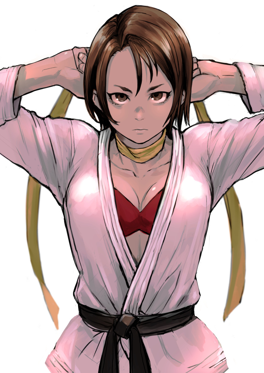 6maker absurdres bra breasts brown_eyes brown_hair cleavage cosplay dougi female highres justice_gakuen karate_gi kazama_akira makoto_(street_fighter) makoto_(street_fighter)_(cosplay) medium_breasts red_bra serious solo street_fighter street_fighter_v underwear upper_body v-shaped_eyebrows