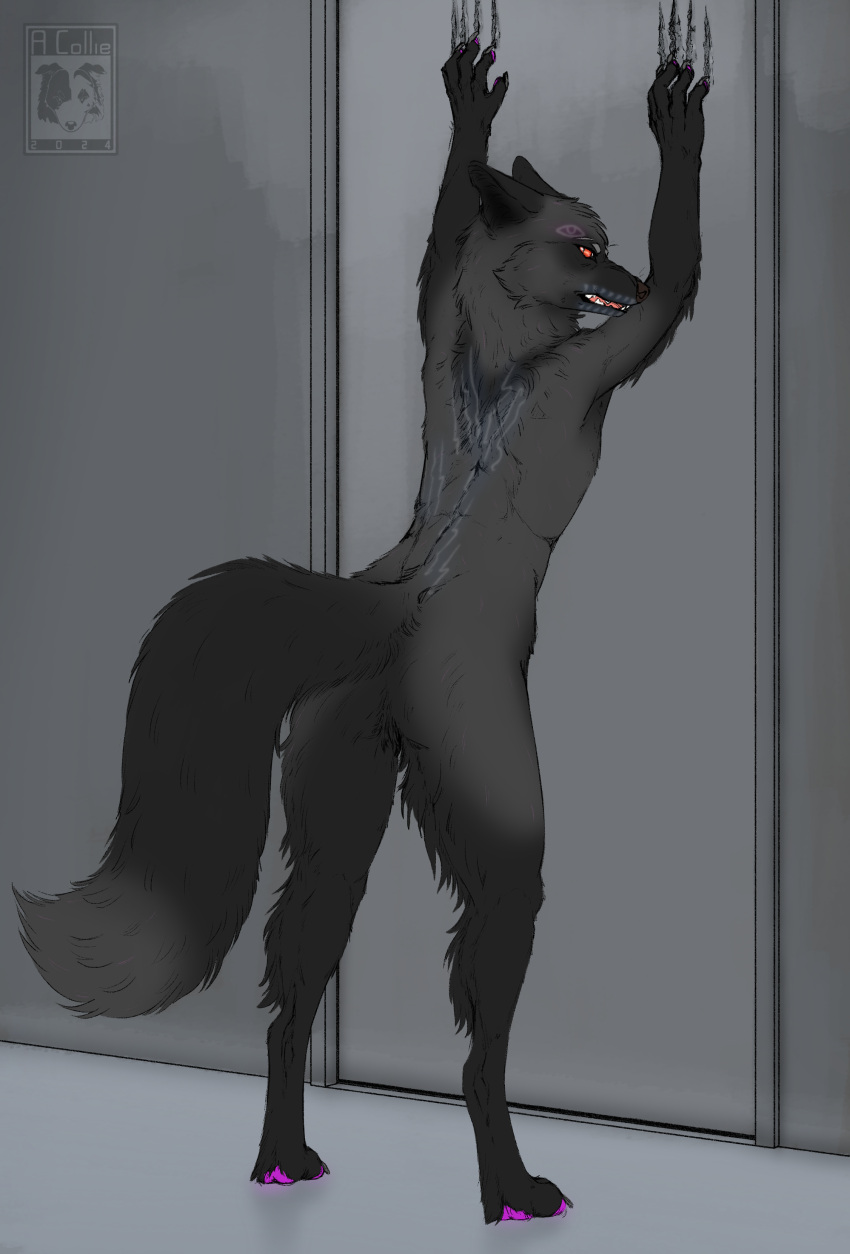 absurd_res alice_(akaifox) angry anthro athletic awkwardcollie back_markings bared_teeth black_body black_fur canid canine claw_markings clawing clawing_door claws crotch_tuft dipstick_tail ears_back eyes_(marking) featureless_crotch female female_(lore) flat_chested fluffy fox fur fur_markings gloves_(marking) glowing glowing_markings grey_body grey_claws grey_fur hi_res imminent_transformation leg_markings looking_at_viewer looking_back mammal markings metal metal_door pawpads pivoted_ears pupils purple_pawpads red_eyes red_fox silver_fox slit_pupils smaller_version_at_source snarling socks_(marking) solo tail tail_markings teeth tense true_fox tuft vein watermark