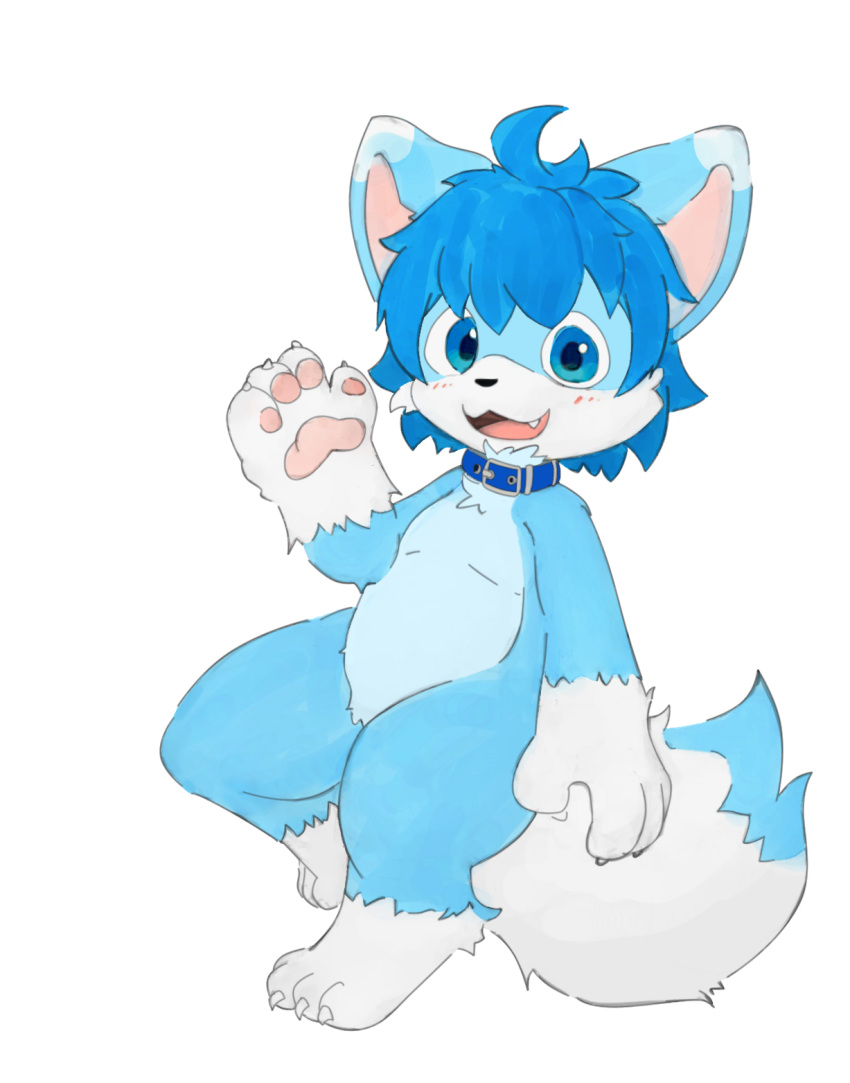 3_toes 4_fingers ak9sa akakusa anthro blue_body blue_eyes blue_fur blue_hair blush canid canine cape clothing collar fangs feet fingers fox fur gesture hair hi_res kemono male mammal mikey_(mikey_fox) open_mouth smile solo teeth third-party_edit toes unfinished_version waving