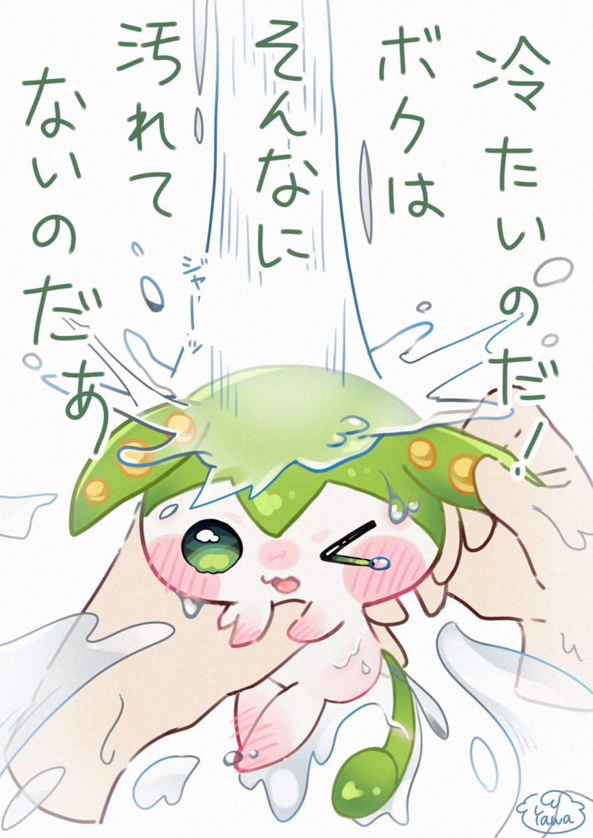 ambiguous_gender ambiguous_species anthro bathing disembodied_hand duo elemental_creature flora_fauna hi_res human japanese_text mammal plant text translation_request voicevox water yawaoru zundamon