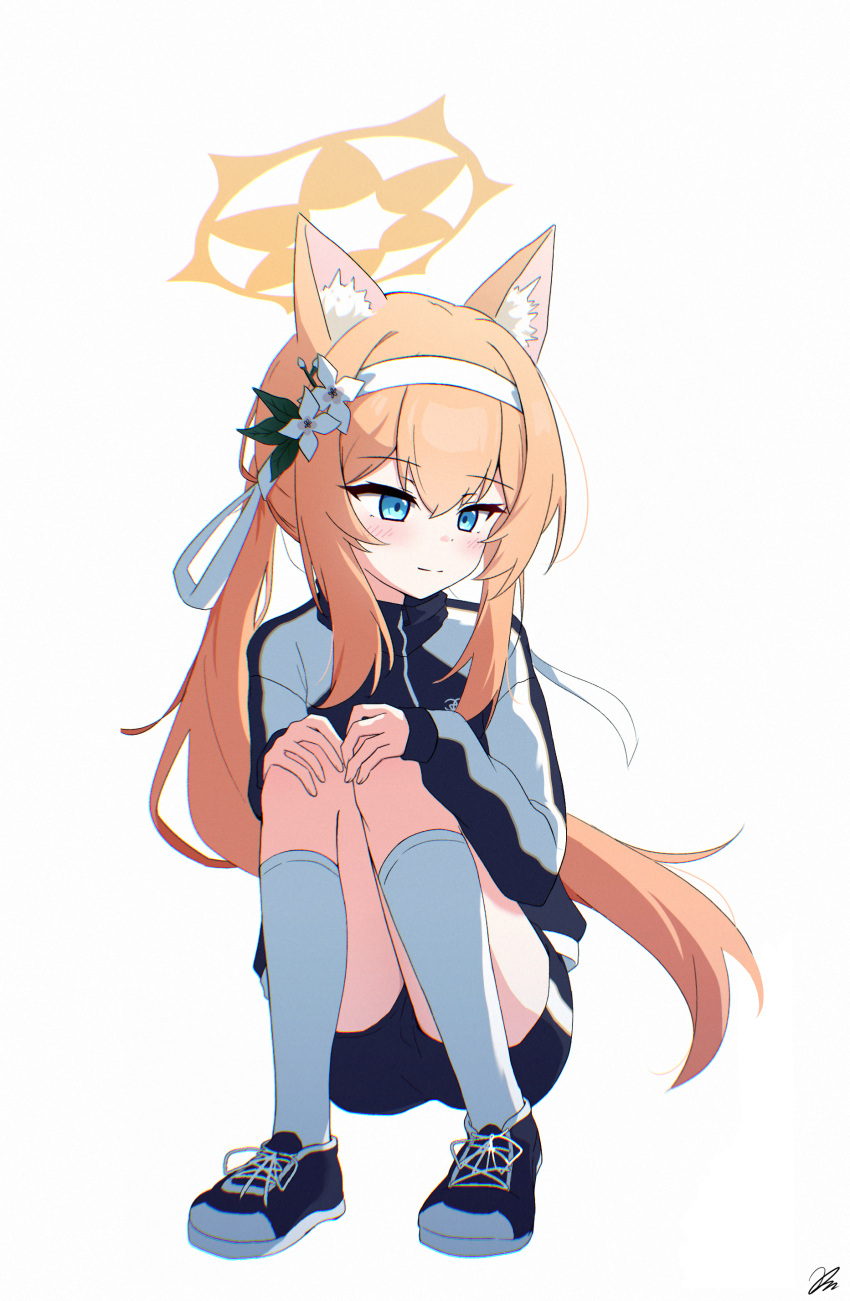 absurdres animal_ear_fluff animal_ears bandana blue_archive blue_eyes blue_footwear blush commentary_request female flower flower_ornament halo highres hugging_own_legs jacket kiroshi korean_commentary long_hair long_sleeves mari_(blue_archive) mari_(track)_(blue_archive) orange_hair orange_halo ponytail shoes short_shorts shorts sidelocks simple_background sitting socks solo track_jacket white_background white_bandana white_flower white_socks