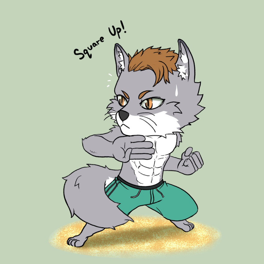 1:1 2023 abs anthro athletic athletic_male barefoot bodily_fluids brown_hair canid canine chibi clothed clothing colored corsac_fox digital_media_(artwork) english_text feet fighting_pose fist fluffy fluffy_tail fox fur grey_body grey_fur hair hi_res inner_ear_fluff looking_aside male mammal mnesis pecs pose sand simple_background solo standing super-nova swaggy_tamago sweat sweatdrop swimming_trunks swimwear tail text topless topless_male true_fox tuft