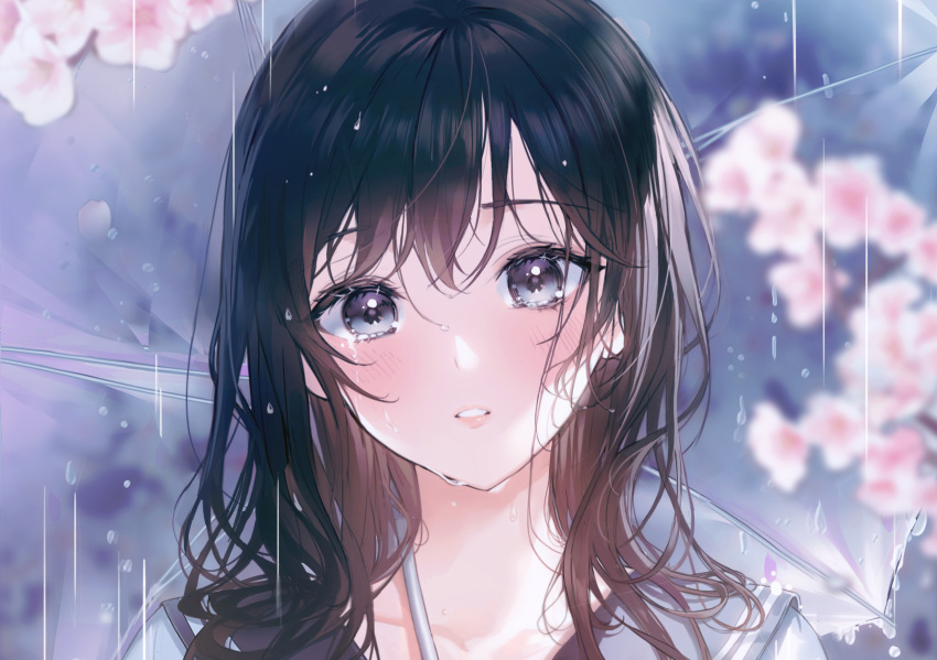 black_hair blue_eyes blue_sailor_collar blurry blurry_background blush collarbone crying female highres long_hair looking_at_viewer original parted_lips rain sailor_collar school_uniform serafuku shirt solo tears transparent transparent_umbrella umbrella water_drop white_shirt yuna_(deadawon)