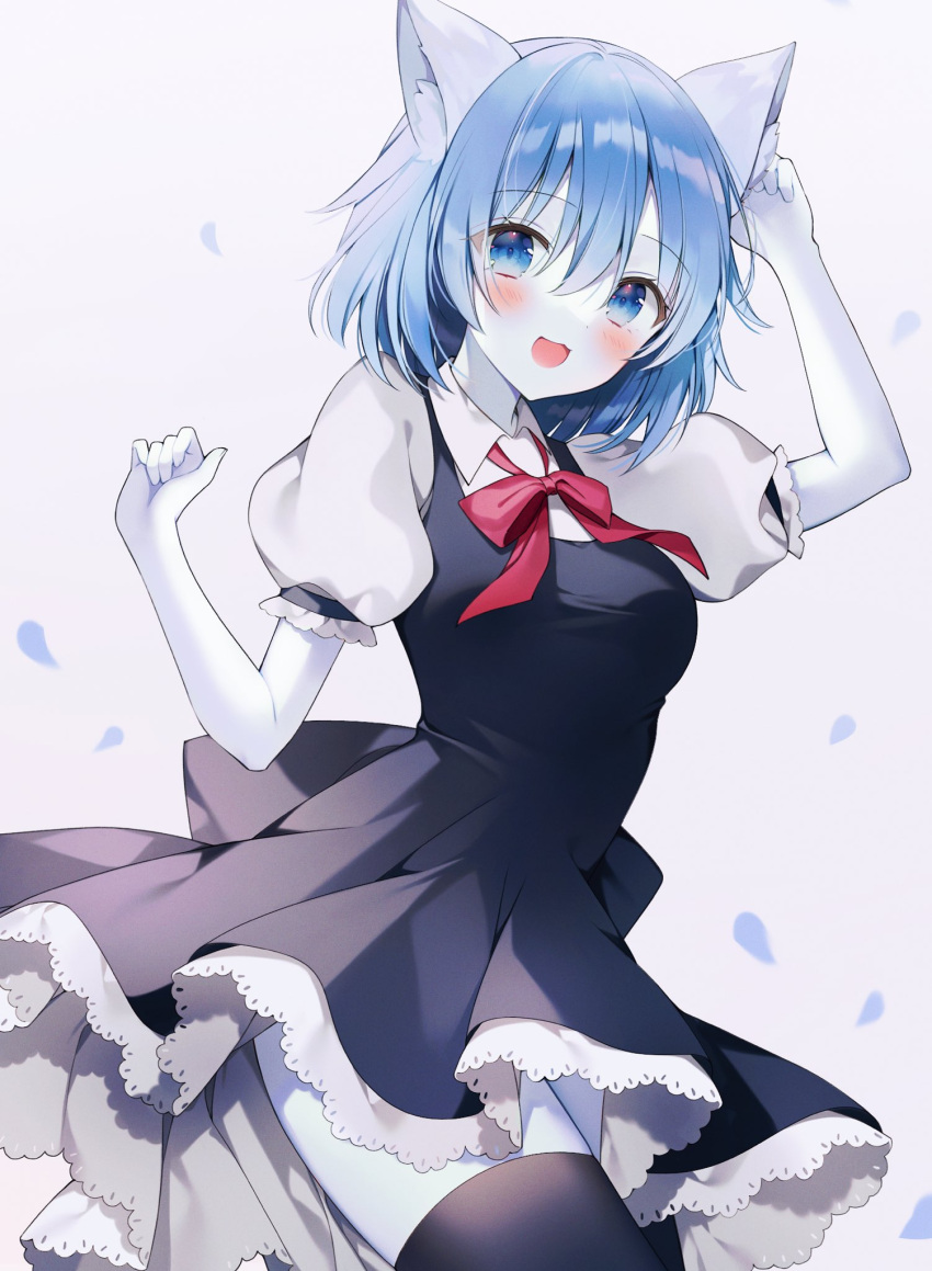 animal_ears black_dress black_thighhighs blue_eyes blue_hair blush bow bowtie colored_skin dress female highres indie_virtual_youtuber juliet_sleeves long_sleeves looking_at_viewer open_mouth puffy_sleeves red_bow red_bowtie second-party_source short_hair solo thighhighs virtual_youtuber weri white_skin wing_collar wolf_ears wolf_girl wolfychu