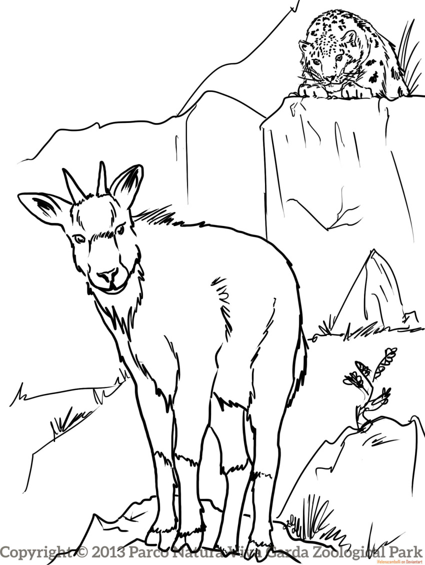 2013 3_toes ambiguous_gender black_and_white bovid caprine cliff cloven_hooves digital_drawing_(artwork) digital_media_(artwork) duo elenazambelli feet felid feral flower fur goral grass head_tilt hi_res himalayan_goral hooves horn hunting imminent_danger imminent_death line_art looking_at_another looking_at_viewer lying mammal markings monochrome mountain nature on_front outside pantherine plant quadruped rock snout snow_leopard solo_focus spots spotted_body spotted_fur standing text toes url watermark whiskers