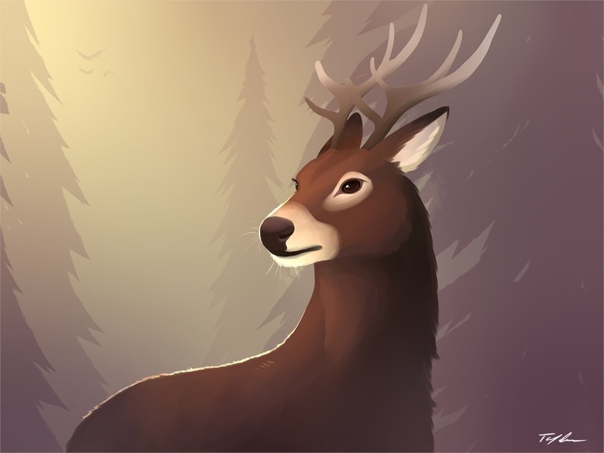 2020 4:3 antlers black_nose brown_body brown_eyes brown_fur day deer detailed_background digital_media_(artwork) feral forest fur horn mammal outside plant solo tenynn tree