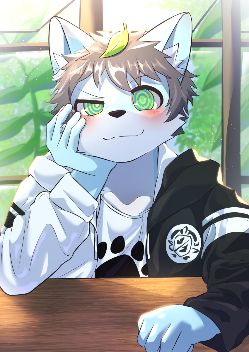 absurd_res anthro black_clothing black_jacket black_topwear blue_body blue_ears blush blush_lines canid canine clothing ear_tuft hair hand_on_cheek hand_on_table hi_res hypnosis hypnotic_eyes jacket leaf leaf_on_head looking_at_viewer male mammal mind_control narrowed_eyes one_eye_half-closed potato_12_13 print_clothing print_shirt print_t-shirt print_topwear red_hair ringed_pupils shirt smile smiling_at_viewer solo t-shirt topwear tuft white_clothing white_jacket white_shirt white_topwear