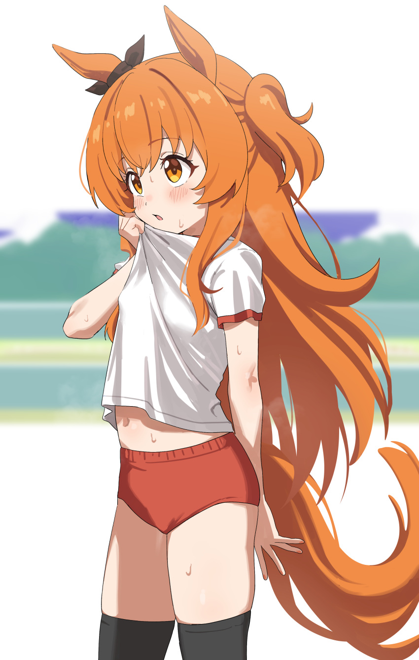 absurdres animal_ears black_thighhighs blush breasts buruma female gym_uniform highres horse_ears horse_girl horse_tail long_hair looking_to_the_side mayano_top_gun_(umamusume) orange_eyes orange_hair red_buruma shirt sincos small_breasts solo steaming_body sweat tail thighhighs two_side_up umamusume white_shirt wiping_sweat