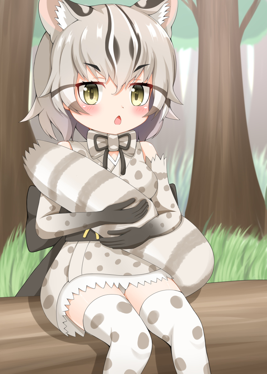 absurdres animal_ear_fluff animal_ears bare_shoulders black_hair blush brown_eyes chestnut_mouth day elbow_gloves female gloves grey_hair highres hugging_own_tail hugging_tail japanese_clothes kemono_friends kimono looking_at_viewer multicolored_hair open_mouth outdoors panties polka_dot polka_dot_gloves polka_dot_kimono polka_dot_legwear shin01571 sitting sleeveless sleeveless_kimono solo streaked_hair striped_tail tail thick_eyebrows thighhighs tree tsushima_leopard_cat_(kemono_friends) underwear v-shaped_eyebrows white_hair white_panties white_thighhighs