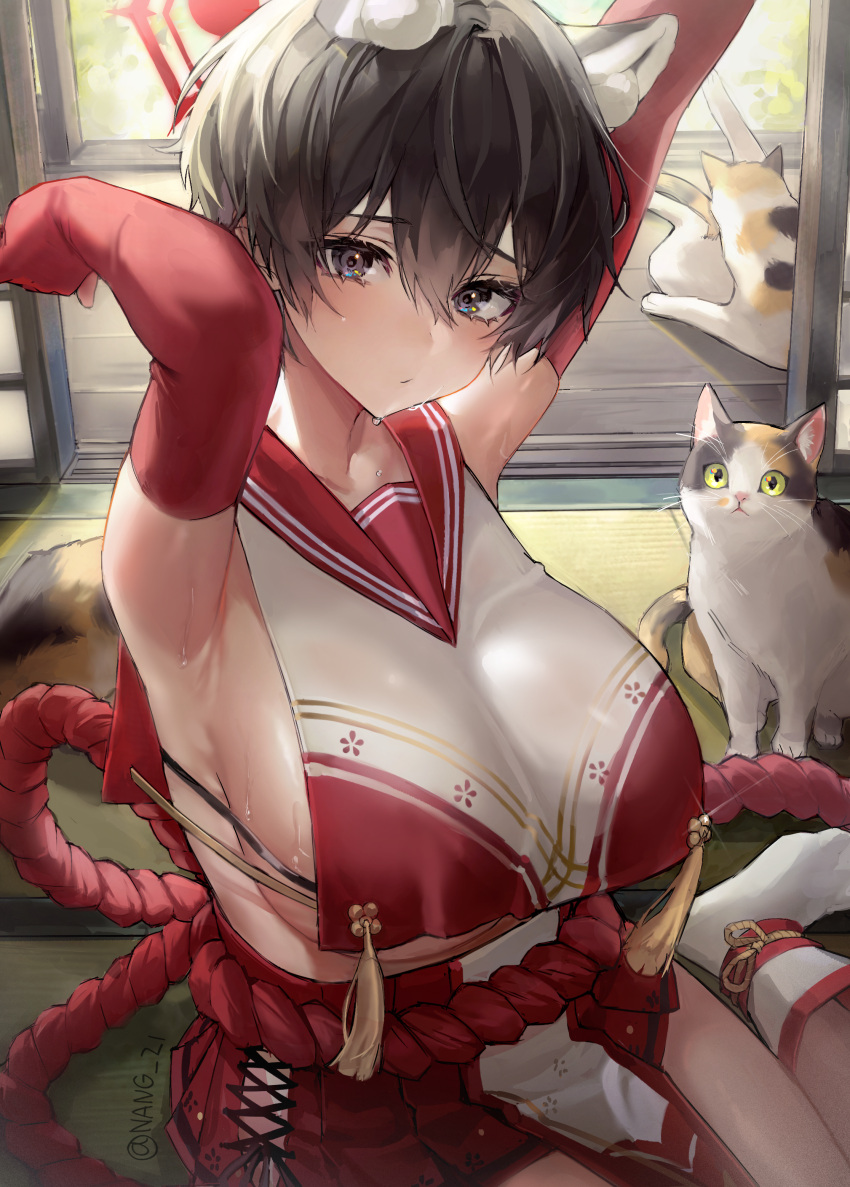 absurdres animal animal_ears armpits bare_shoulders black_hair blue_archive blush braid breasts brown_hair closed_mouth collarbone detached_sleeves feline female gloves hair_between_eyes halo highres huge_breasts indoors japanese_clothes large_breasts looking_at_viewer nang_z1 red_halo red_skirt sailor_collar short_hair sideboob sitting skirt sliding_doors solo sweat tatami tsubaki_(blue_archive) twitter_username