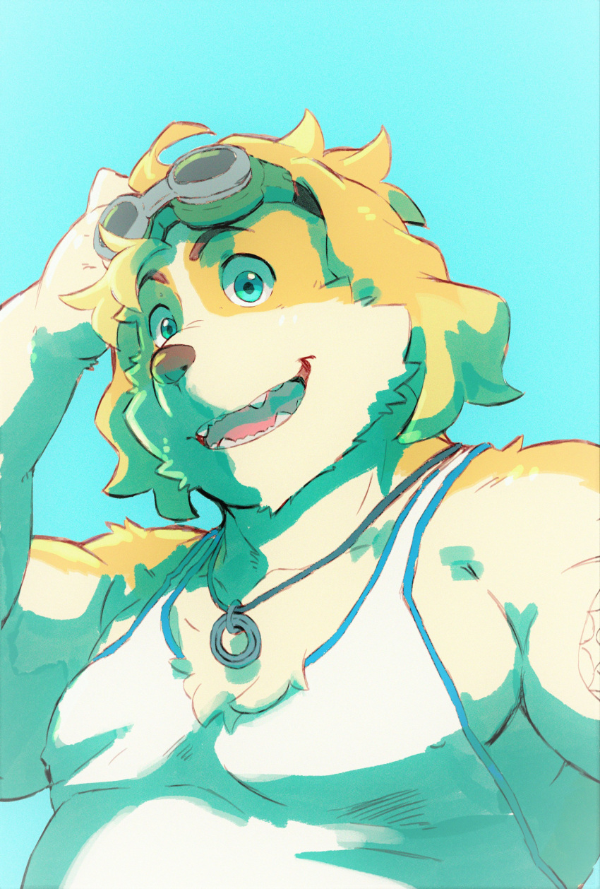 absurd_res anthro blue_eyes canid canine canis clothing domestic_dog eyewear floppy_ears fur goggles heylaw21 hi_res hisaki_(live_a_hero) jewelry lifewonders live_a_hero male mammal multicolored_body multicolored_fur necklace shirt slightly_chubby solo tank_top topwear