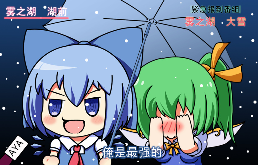 2girls blue_eyes blue_hair blush bow chibi chinese_text cirno commentary_request covering_face daiyousei dress embarrassed green_hair hair_ribbon hairbow holding holding_umbrella interview long_hair meme microphone multiple_girls open_mouth parody ribbon shared_umbrella short_hair side_ponytail special_feeling_(meme) symbol-shaped_pupils touhou translated umbrella wings woofey